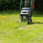 Jardinage / Bricolage à Beaugency