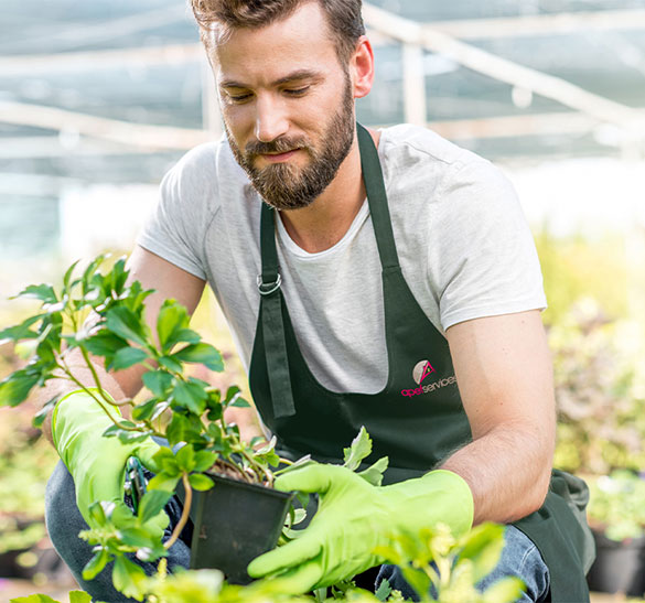 Un jardinier professionnel prenant soin de vos plantes