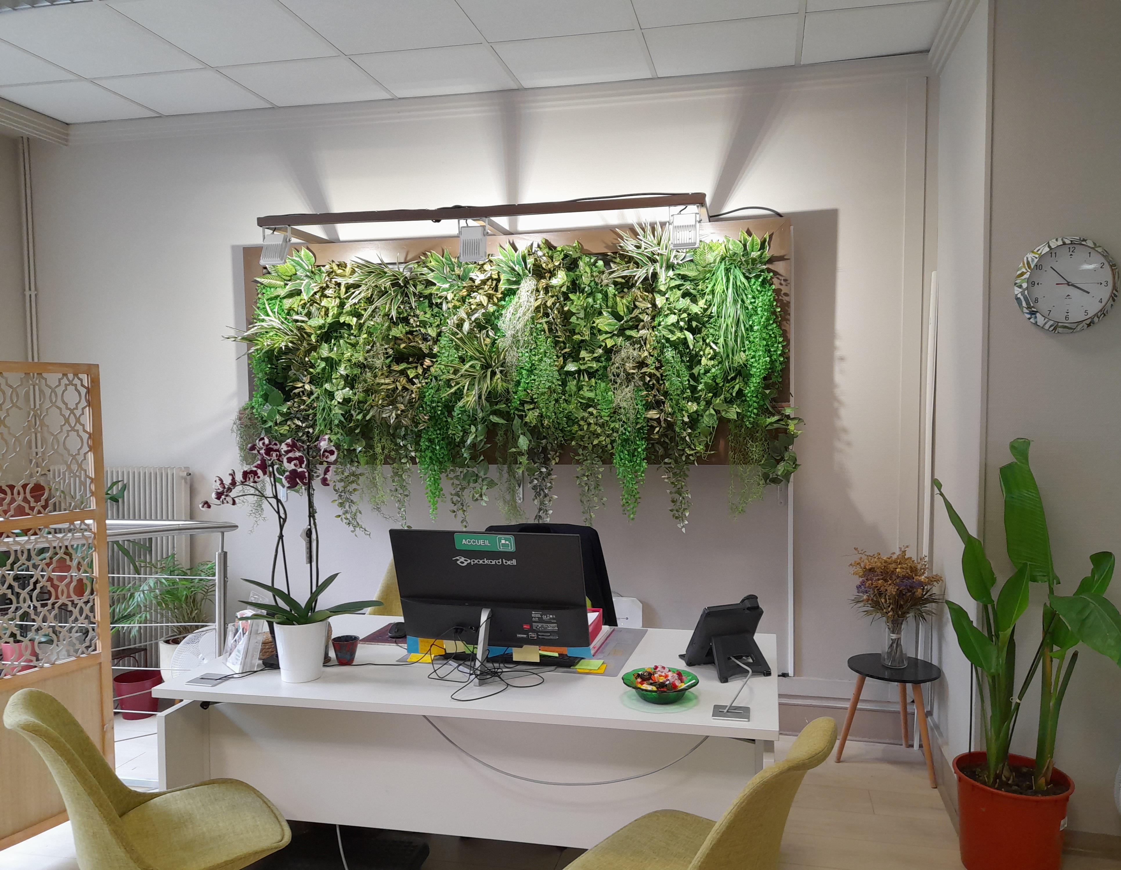 Gérant de l'agence de service à la personne APEF à Paris