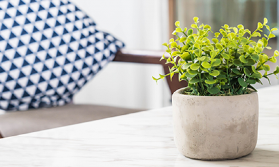 APEF LA ROCHELLE SUD