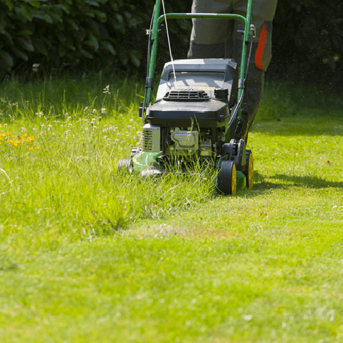 ACTU SITE-APEF-agence-jardinage-debroussaillage-avant-ete.png