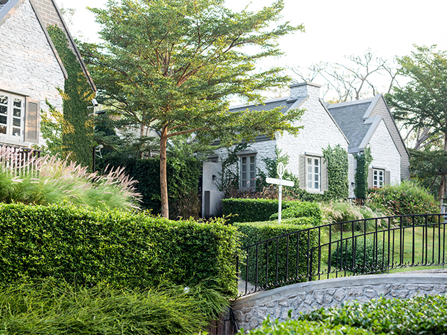 Jardinage-haie-devanture