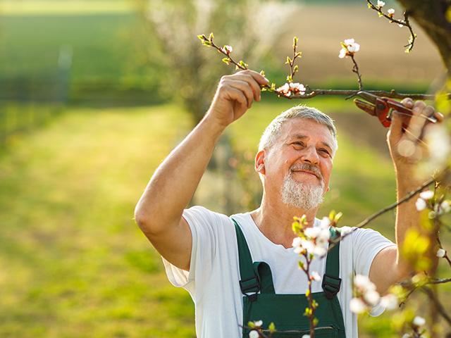 besoin d un jardinier