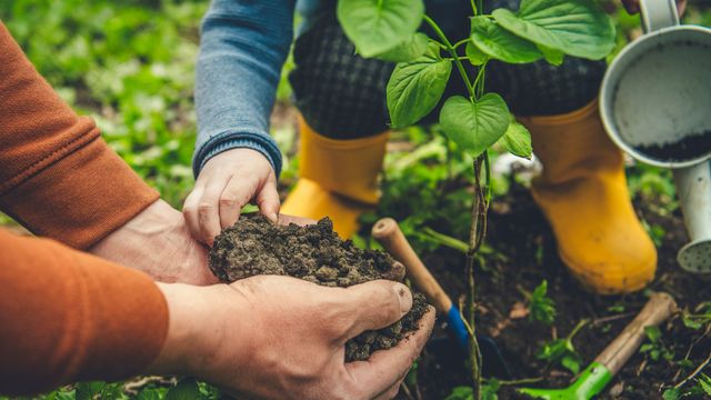 initier-les-enfants-au-jardinage_6115838.jpg