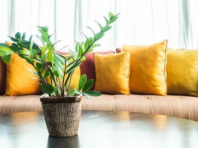 Le ménage au naturel : nos conseils pratiques.